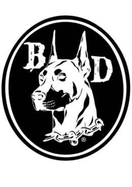 Black Dog