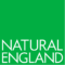 NE logo